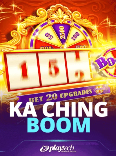 BPL cricket sports betting cover